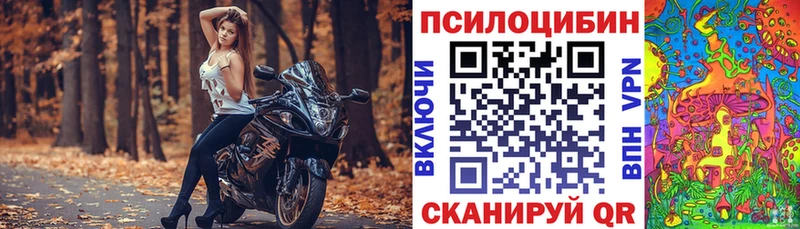 hydra ТОР  Торжок  Псилоцибиновые грибы мухоморы 